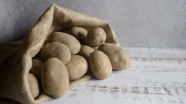 Patatas agria saco